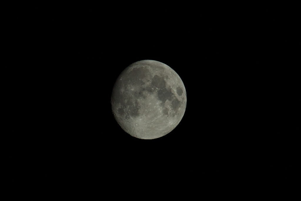 Nikon D2H's moon 1024x683